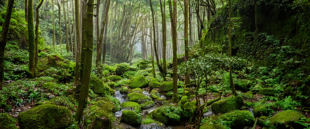 Top 20 things to do in Jeju Island