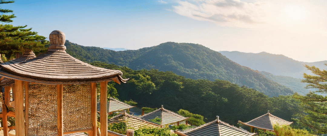 How to Enjoy Your Time on a Trip: Written According to Psychology