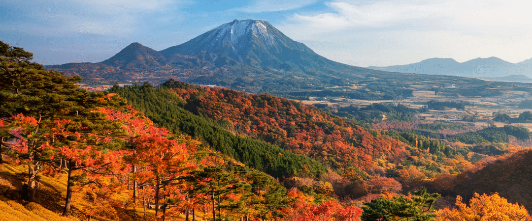 How to Enjoy Fall in Jeju Island