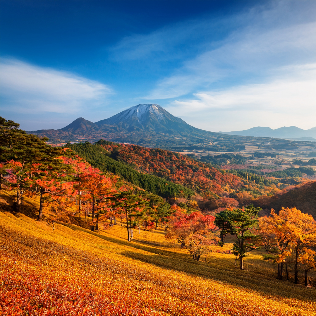 How to Enjoy Fall in Jeju Island